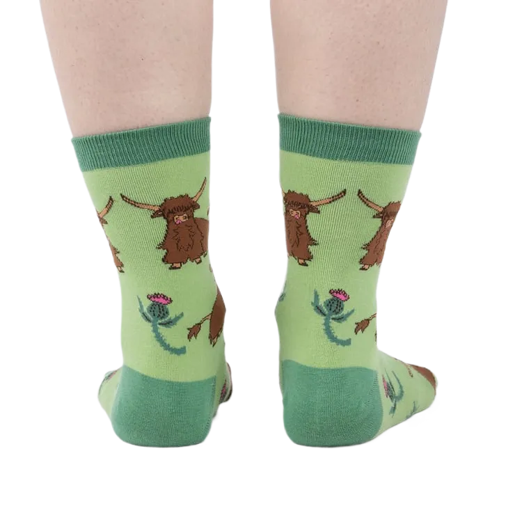 Hardy Highland Cows