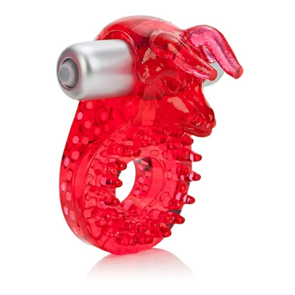 Jesse`s Raging Bull